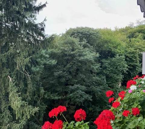 Appartamento in vendita a Trento