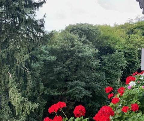 Trento sud appartamento tre stanze